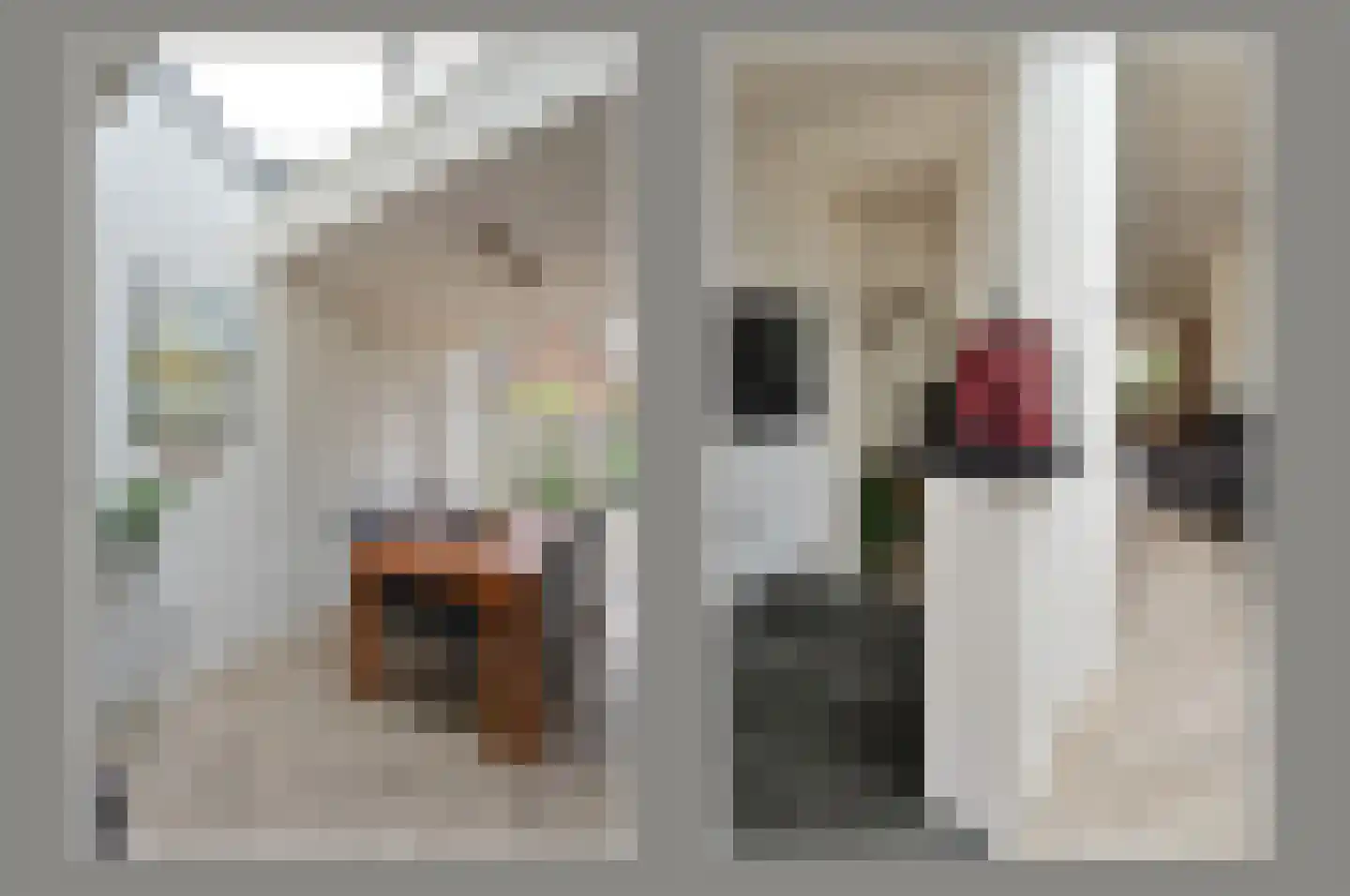 Curiestraat 8 Hilversum thumbnail 9