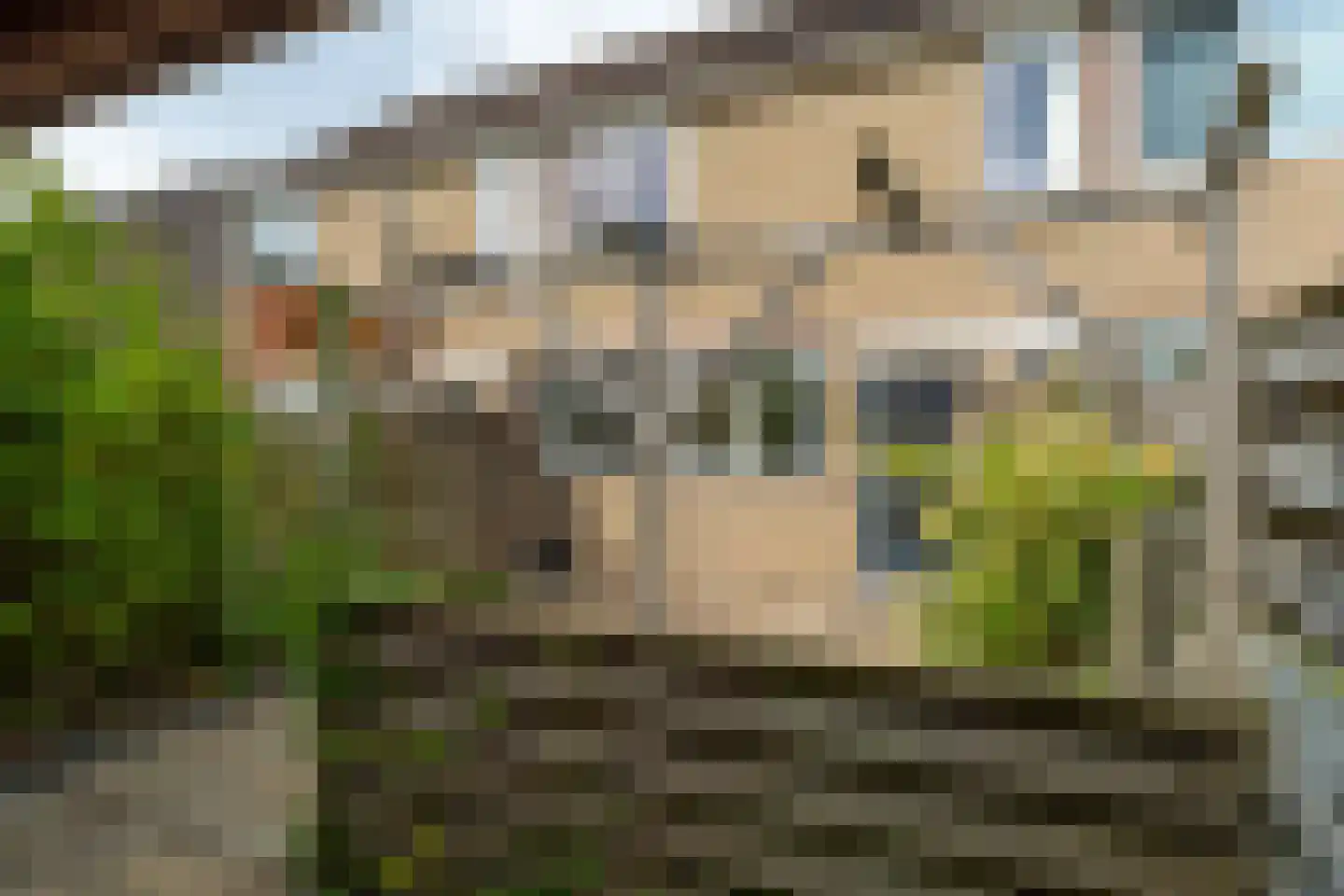 Cuwaard 8 Kollum foto 3