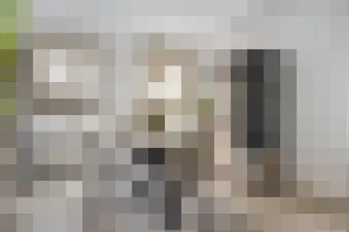 Cuwaertstraat 5 Nieuw Namen thumbnail 12