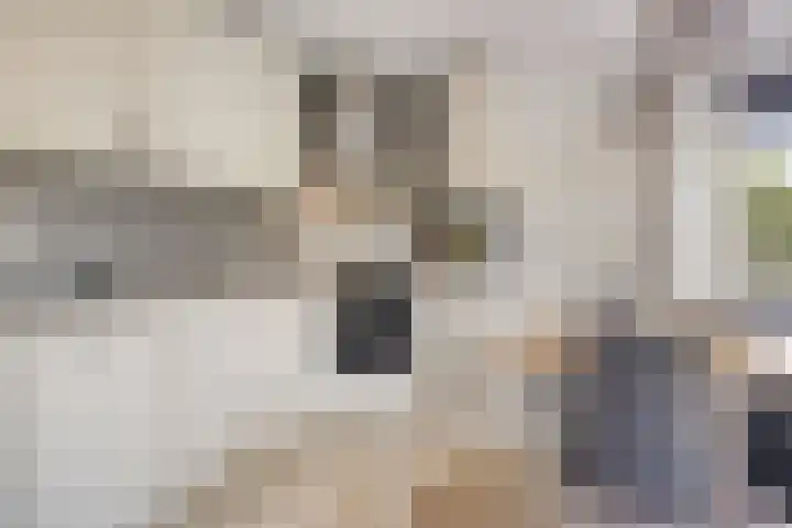 Cuwaertstraat 5 Nieuw Namen thumbnail 14
