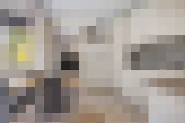Cuwaertstraat 5 Nieuw Namen thumbnail 16