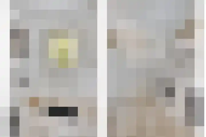 Cuwaertstraat 5 Nieuw Namen thumbnail 17