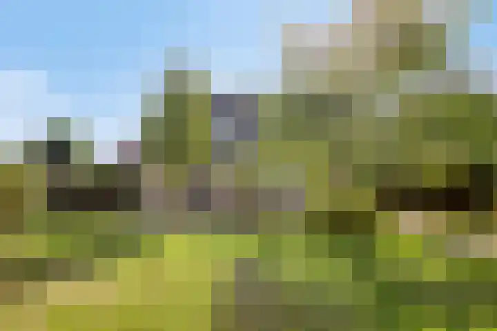 Cuwaertstraat 5 Nieuw Namen thumbnail 29