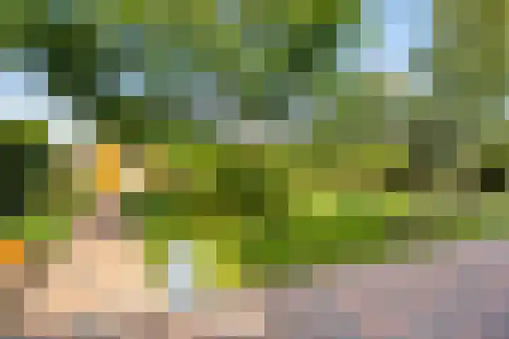 Cuwaertstraat 5 Nieuw Namen thumbnail 30