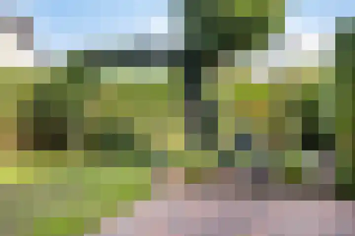 Cuwaertstraat 5 Nieuw Namen thumbnail 31
