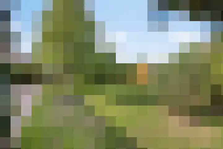 Cuwaertstraat 5 Nieuw Namen thumbnail 32