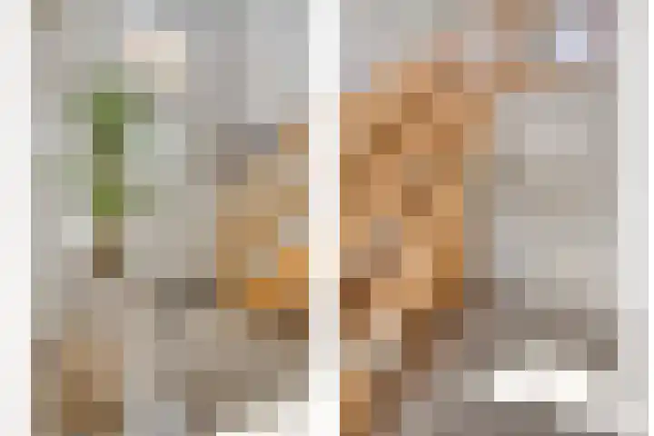 Cuwaertstraat 5 Nieuw Namen thumbnail 6