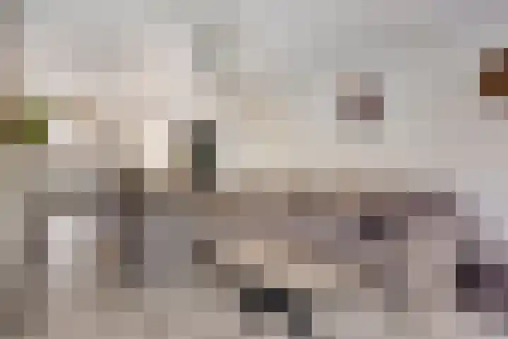 Cuwaertstraat 5 Nieuw Namen thumbnail 8
