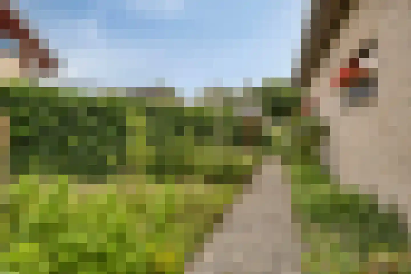 Cuwaertstraat 7 Nieuw Namen thumbnail 35