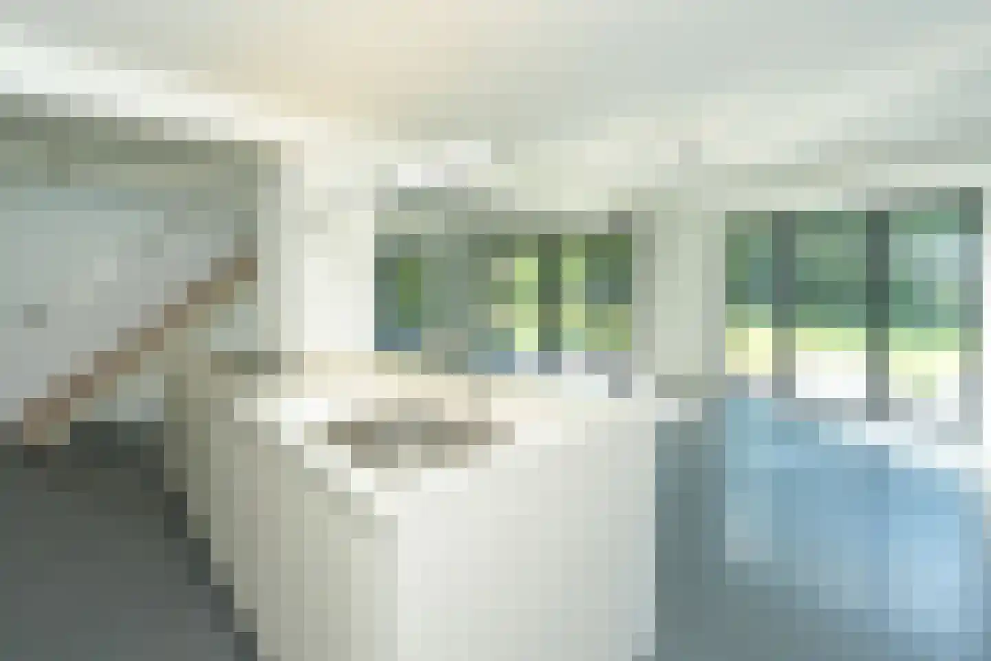 Cuykschesteeg 3 Escharen thumbnail 14