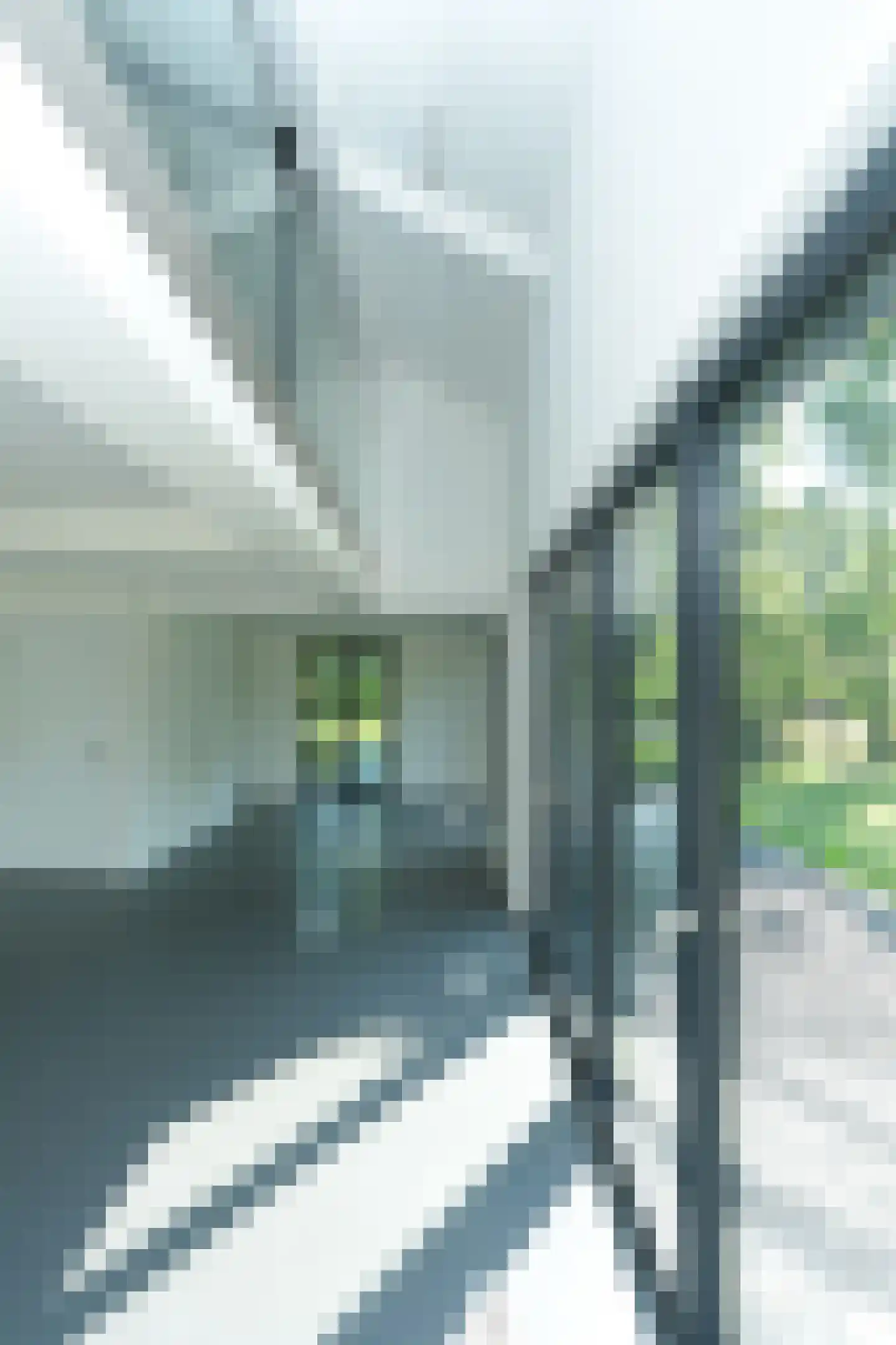 Cuykschesteeg 3 Escharen thumbnail 23