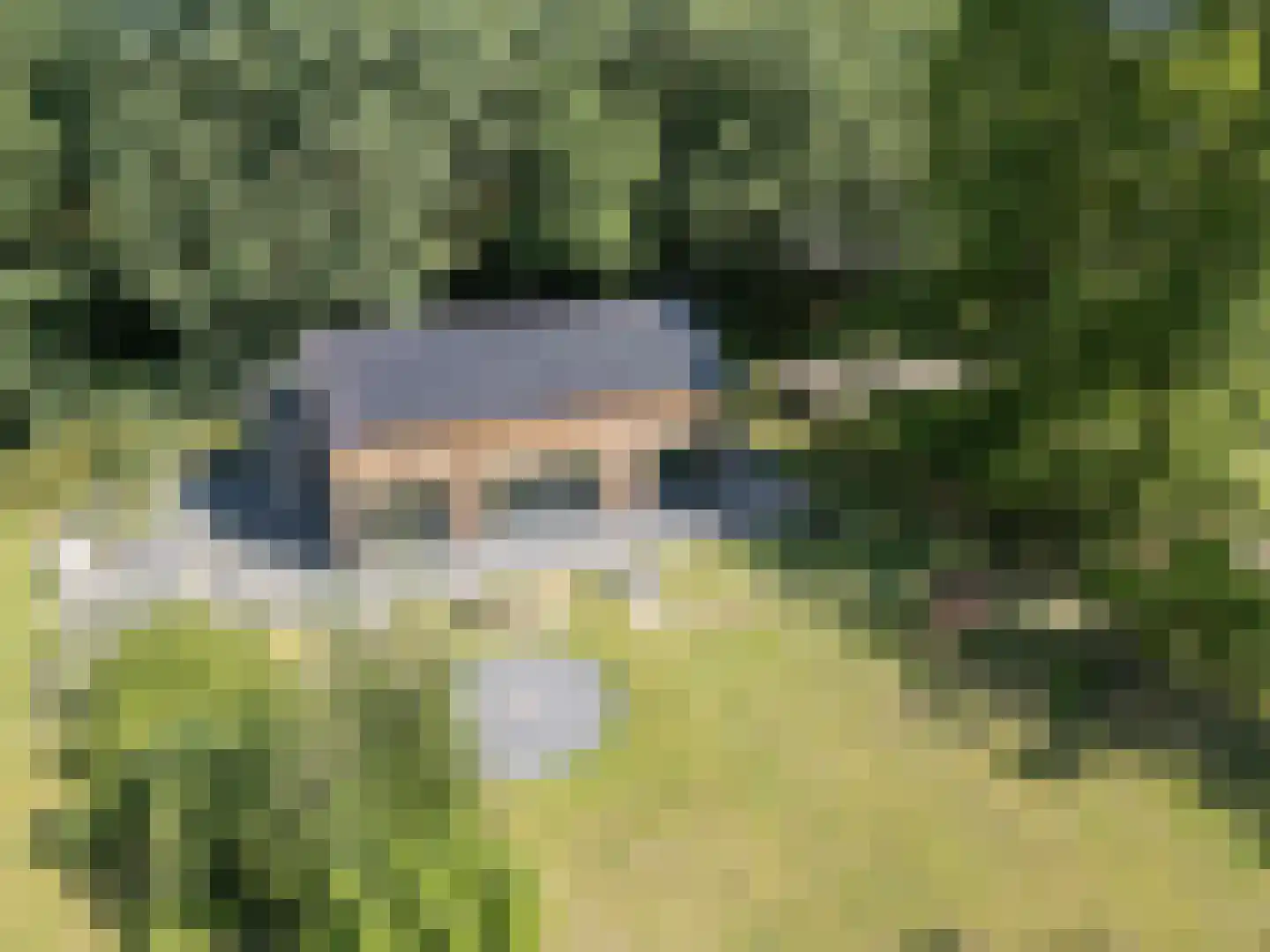 Cuykschesteeg 3 Escharen thumbnail 4