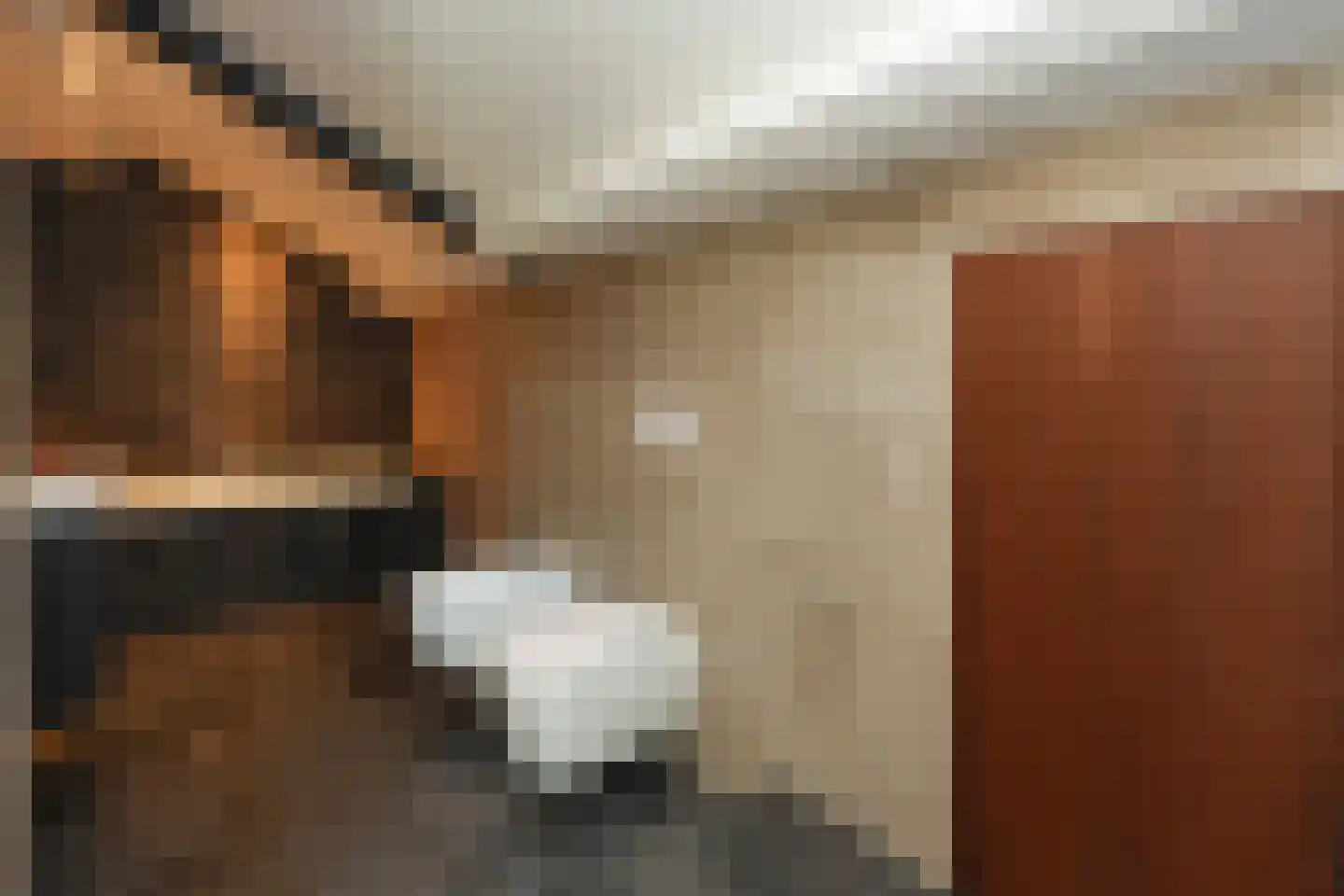 Cuykschesteeg 3 Escharen thumbnail 48