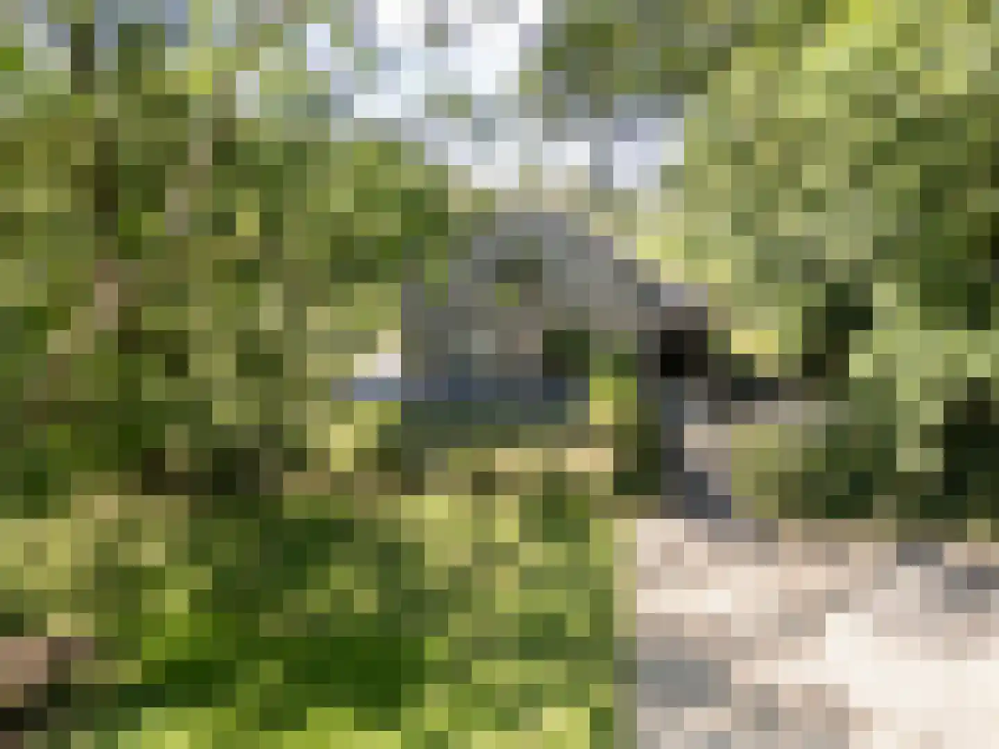 Cuykschesteeg 3 Escharen thumbnail 5