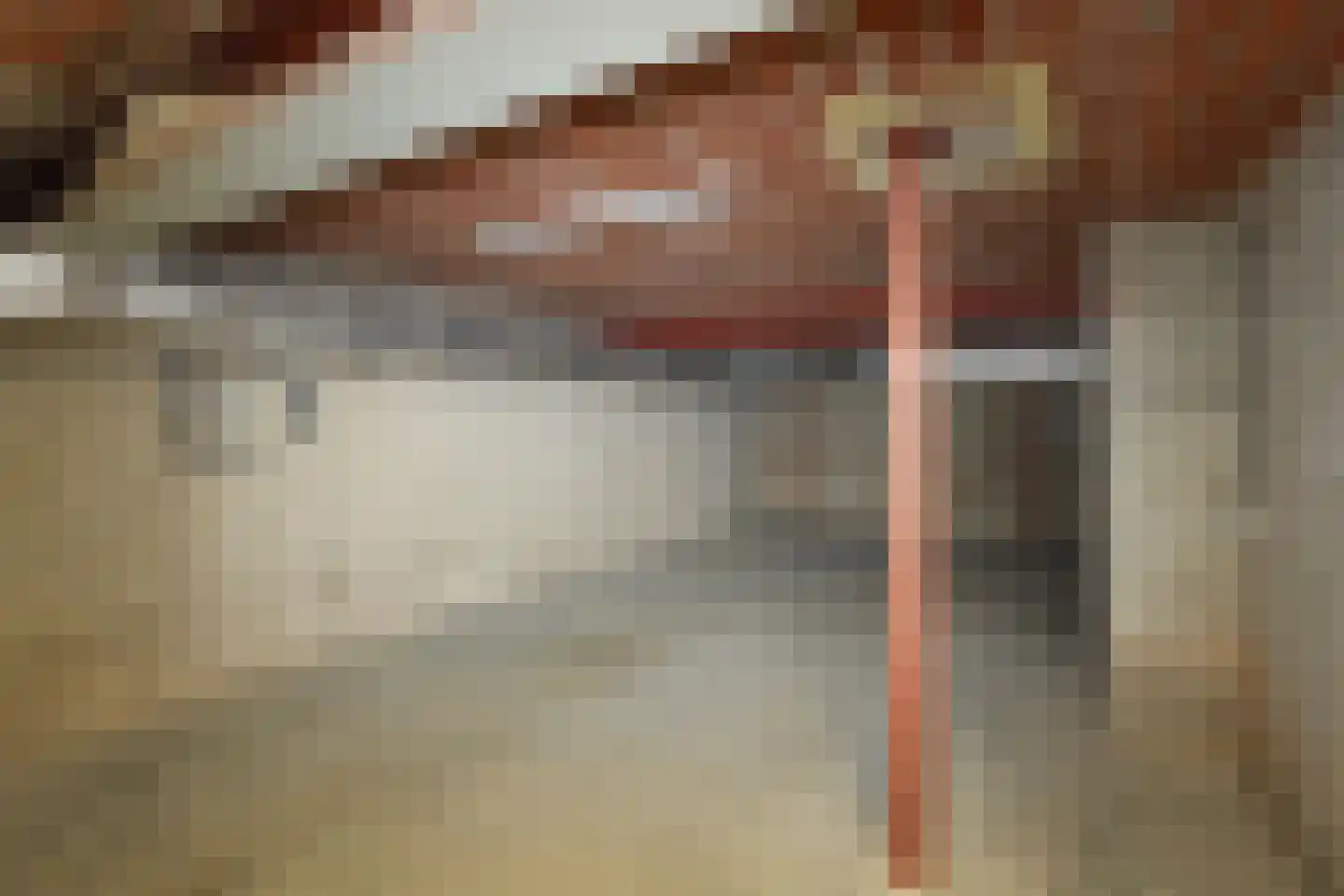 Cuykschesteeg 3 Escharen thumbnail 53