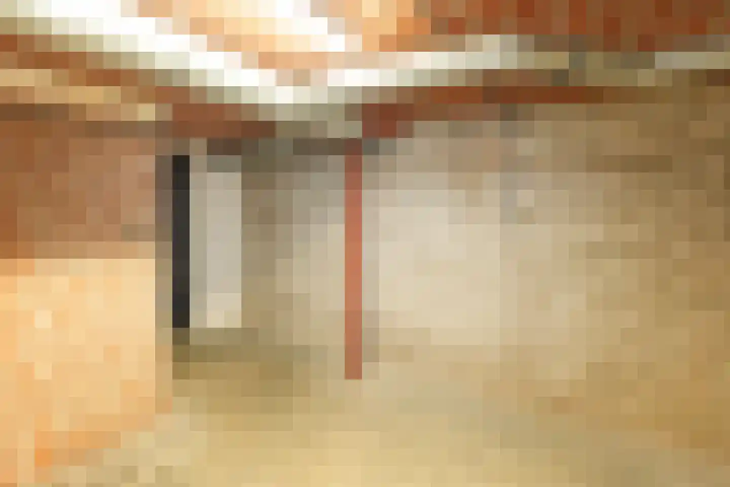 Cuykschesteeg 3 Escharen thumbnail 54