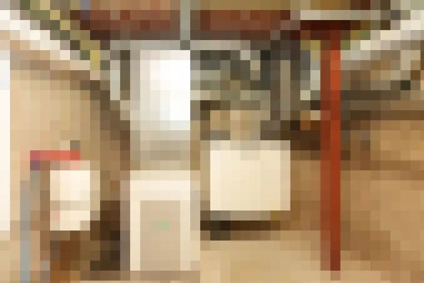 Cuykschesteeg 3 Escharen thumbnail 55