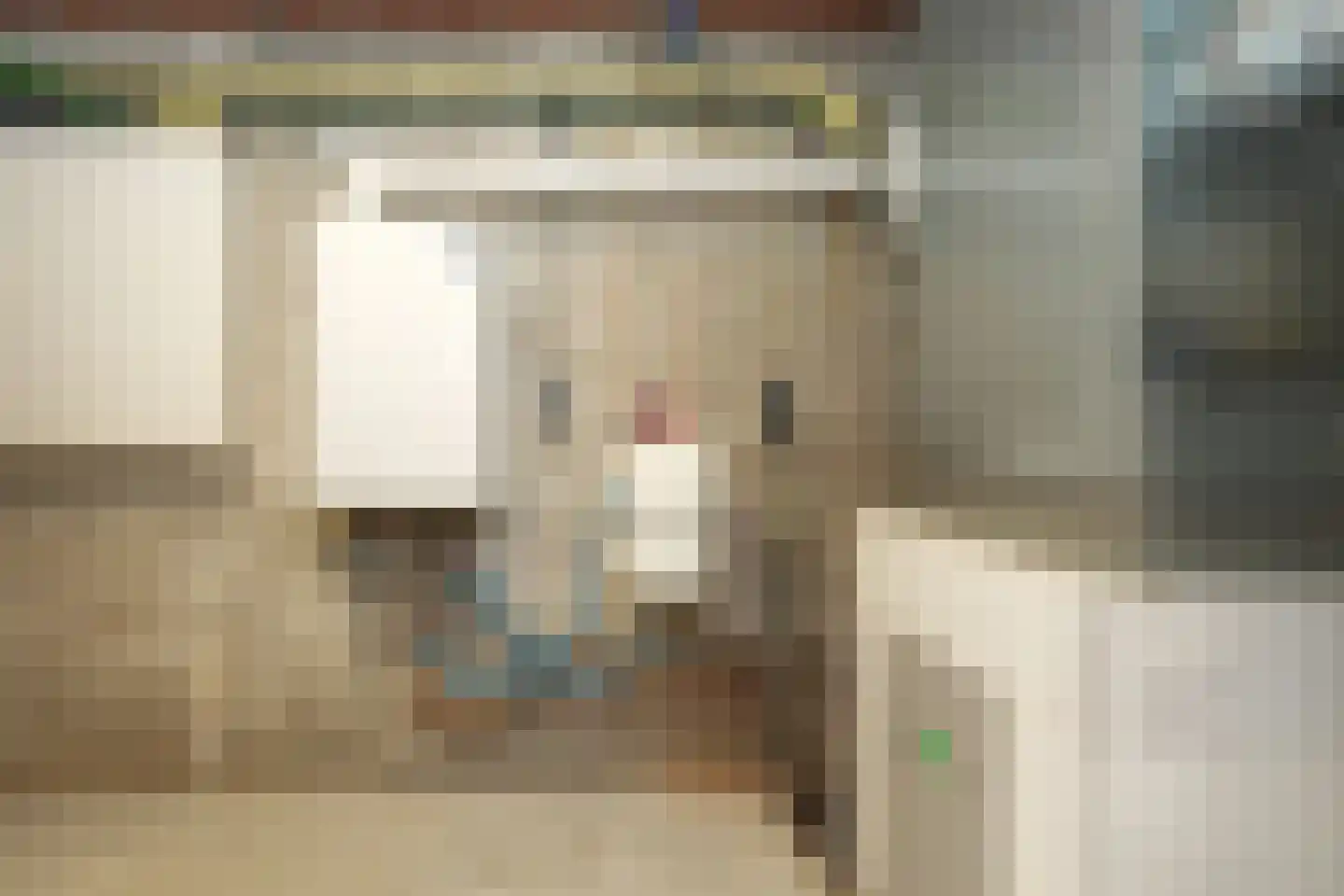 Cuykschesteeg 3 Escharen thumbnail 56