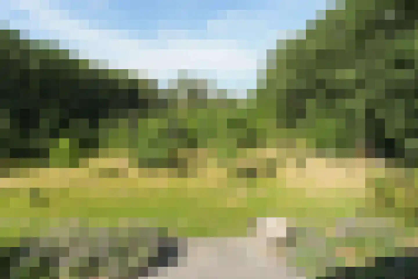 Cuykschesteeg 3 Escharen thumbnail 61