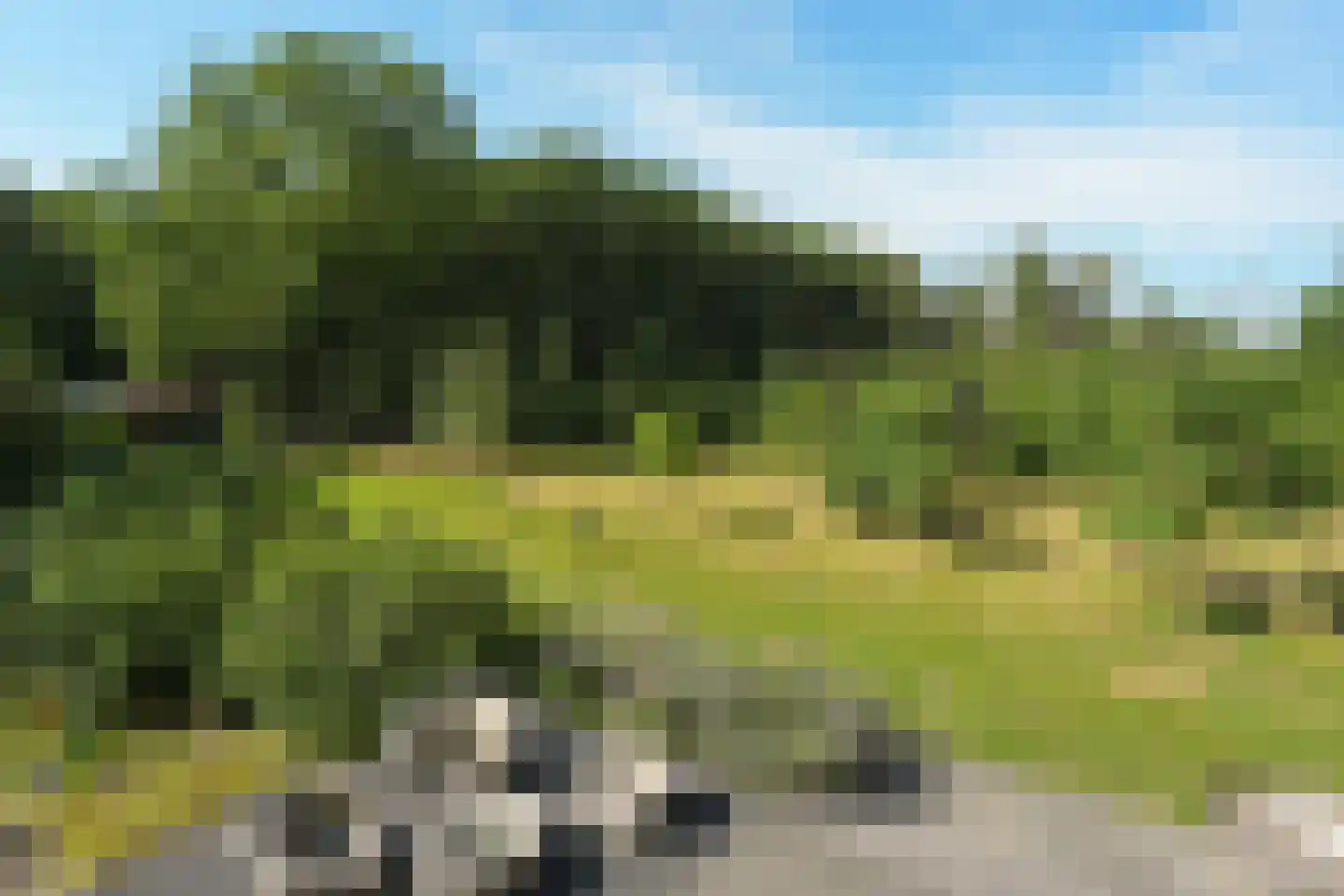 Cuykschesteeg 3 Escharen thumbnail 63