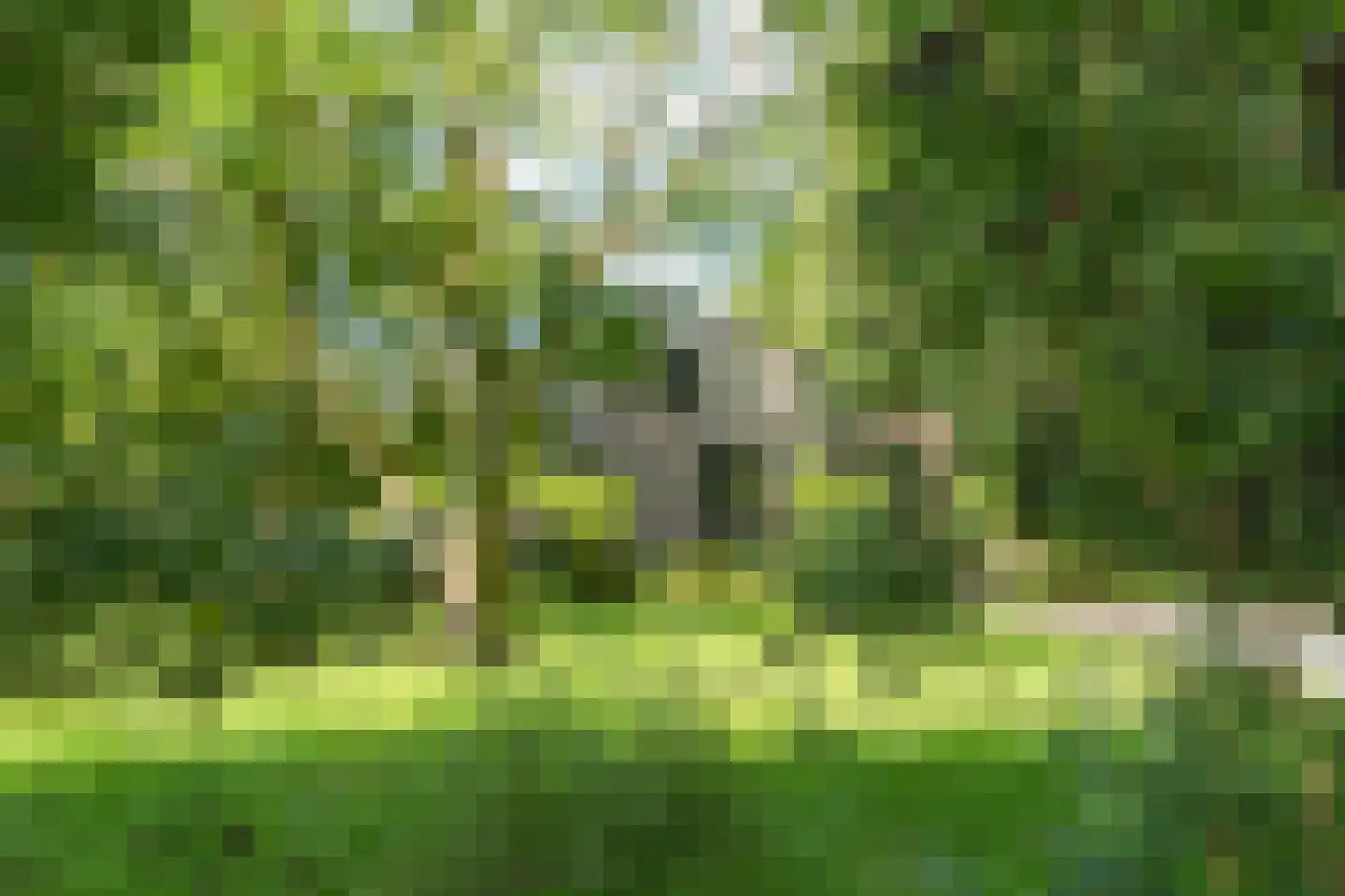 Cuykschesteeg 3 Escharen thumbnail 65