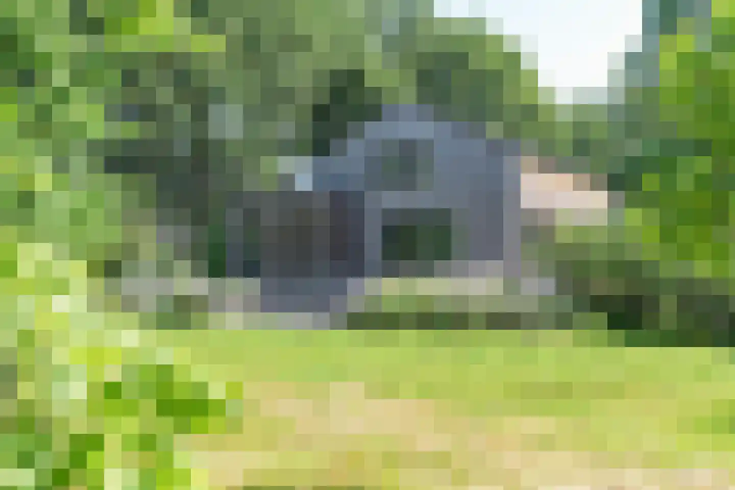 Cuykschesteeg 3 Escharen thumbnail 67