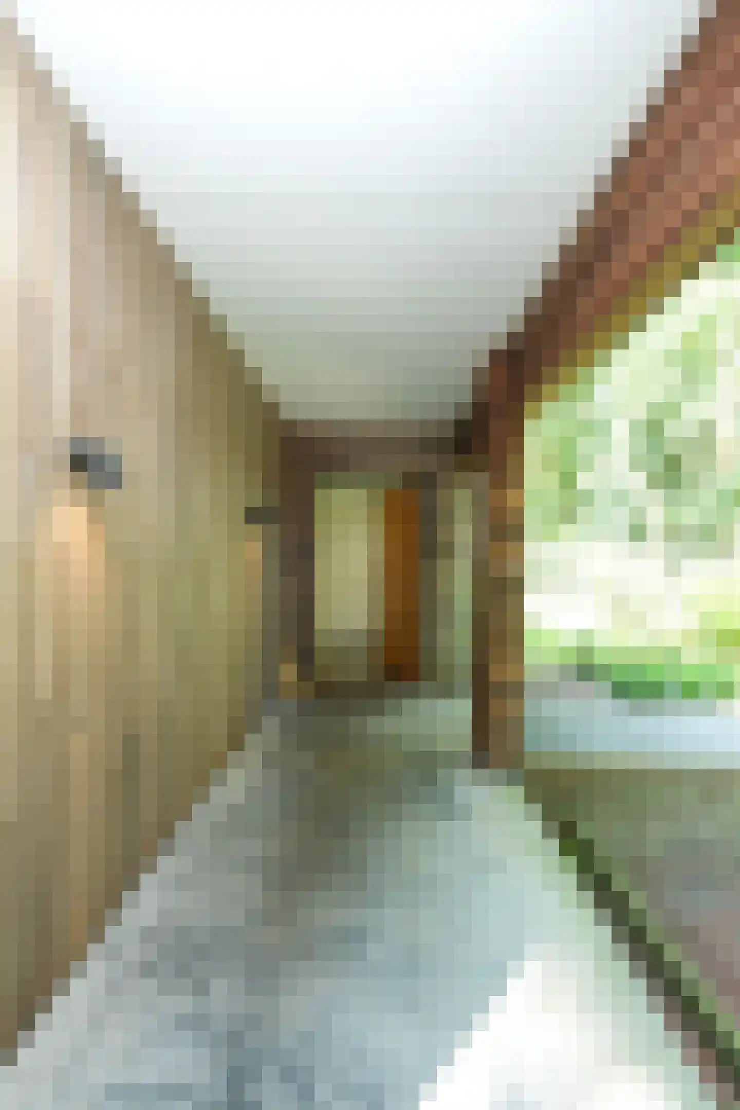 Cuykschesteeg 3 Escharen thumbnail 7
