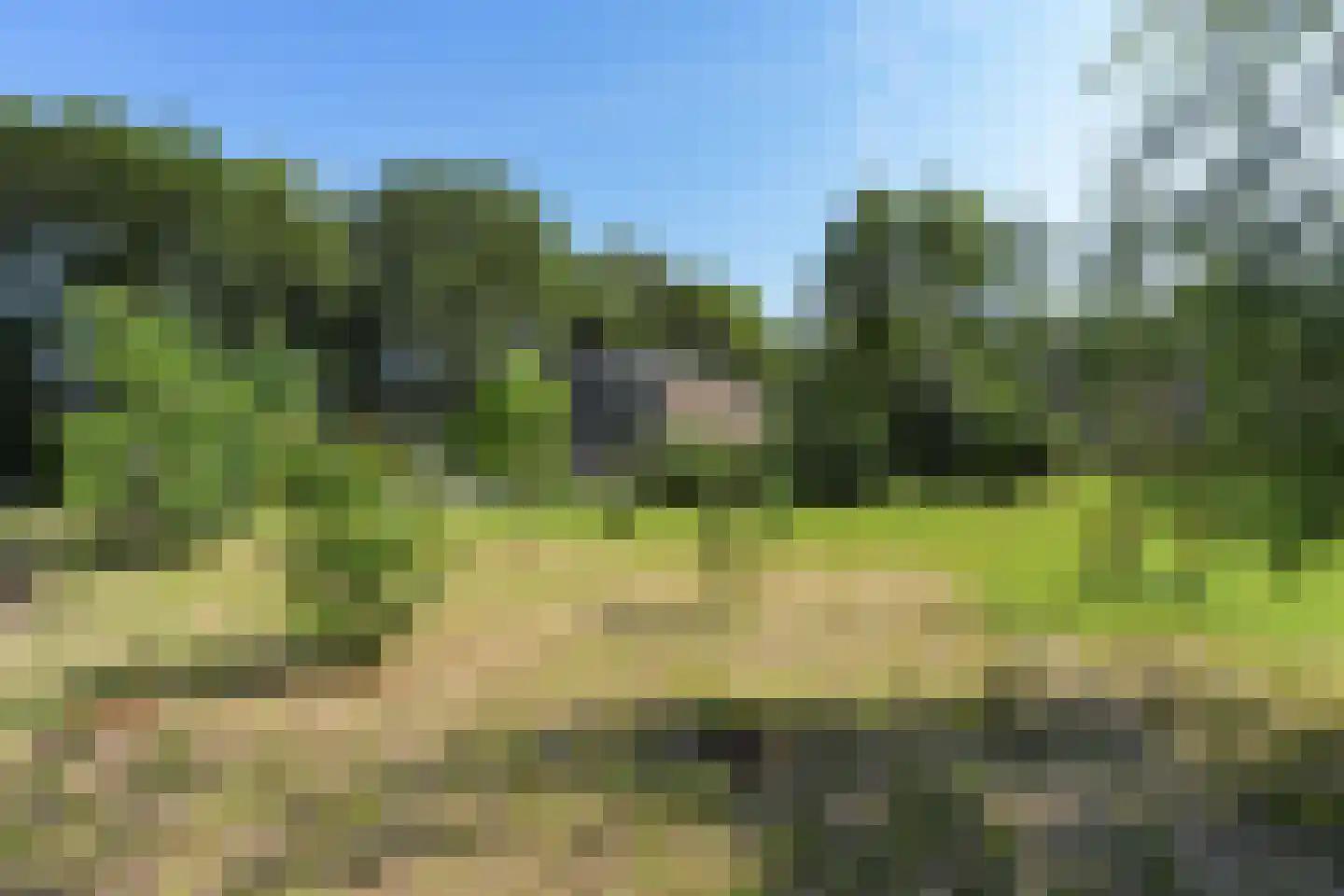 Cuykschesteeg 3 Escharen thumbnail 71