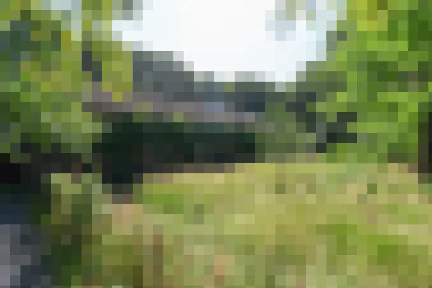 Cuykschesteeg 3 Escharen thumbnail 74