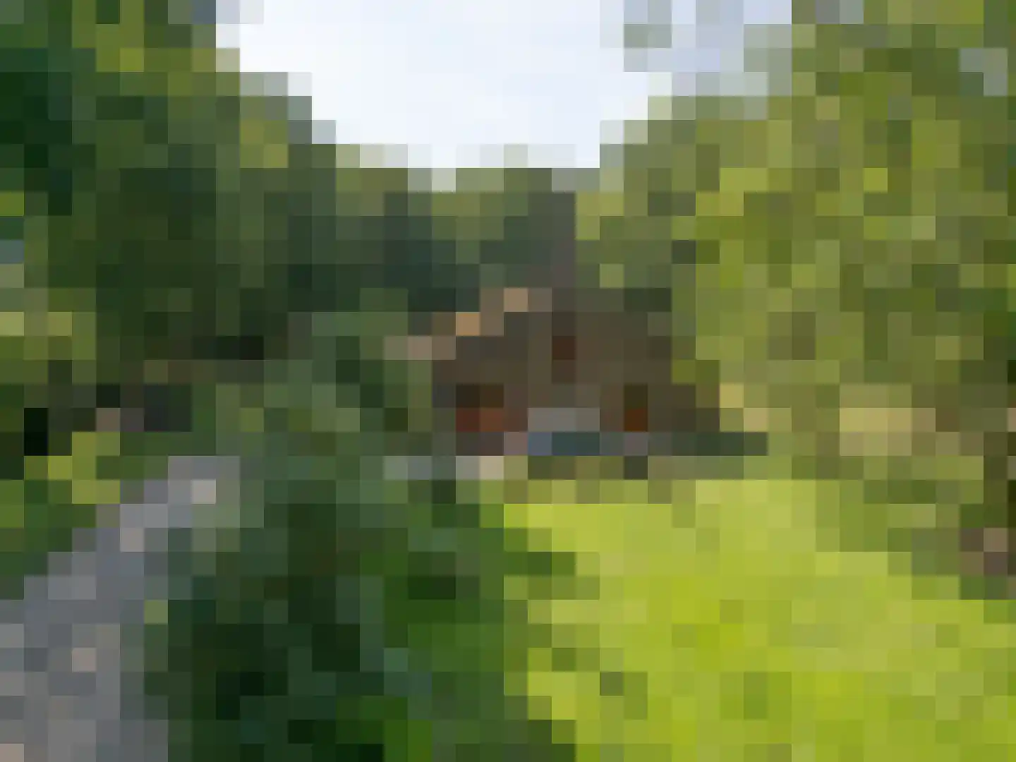 Cuykschesteeg 3 Escharen thumbnail 75