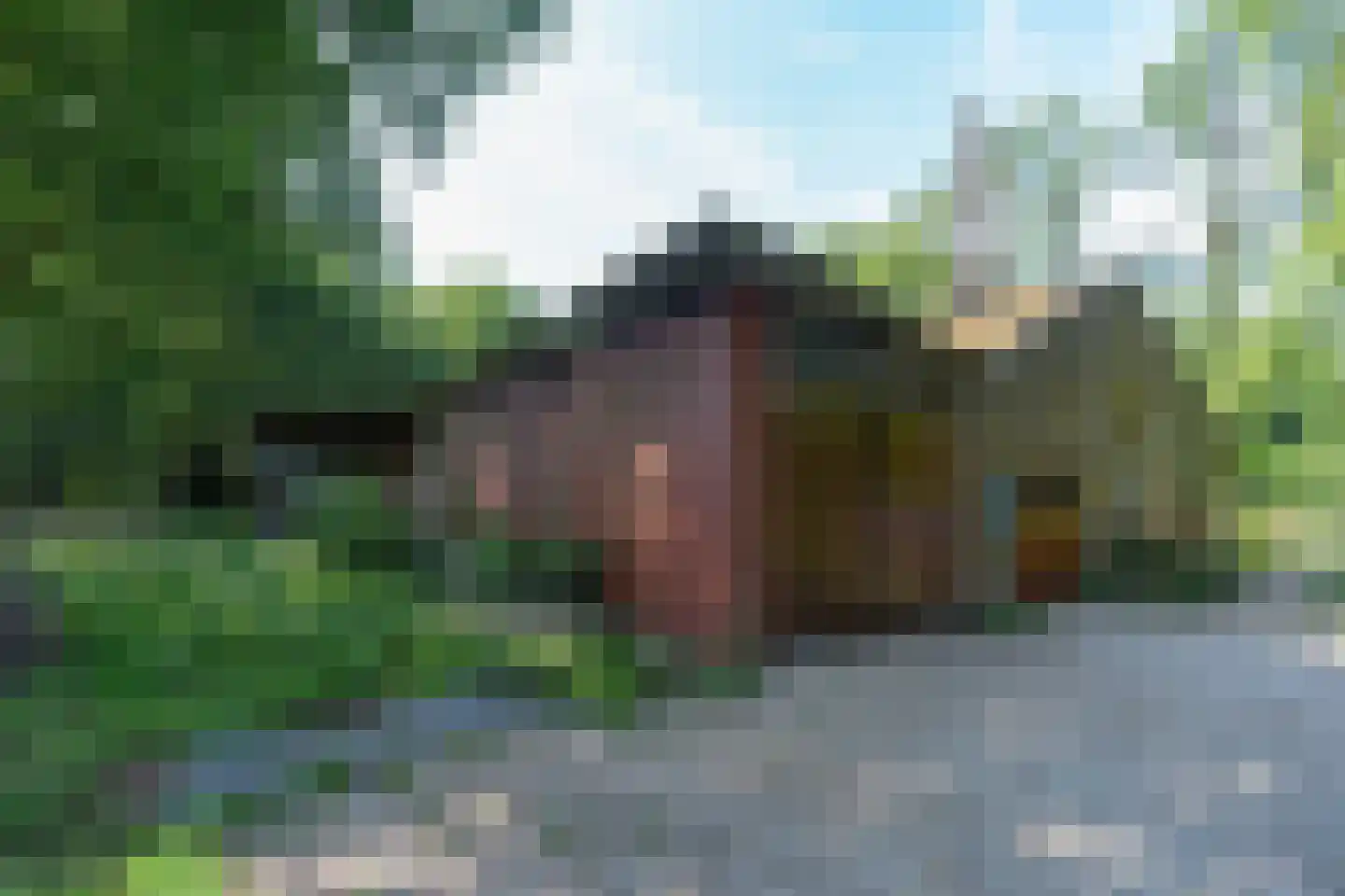 Cuykschesteeg 3 Escharen thumbnail 76
