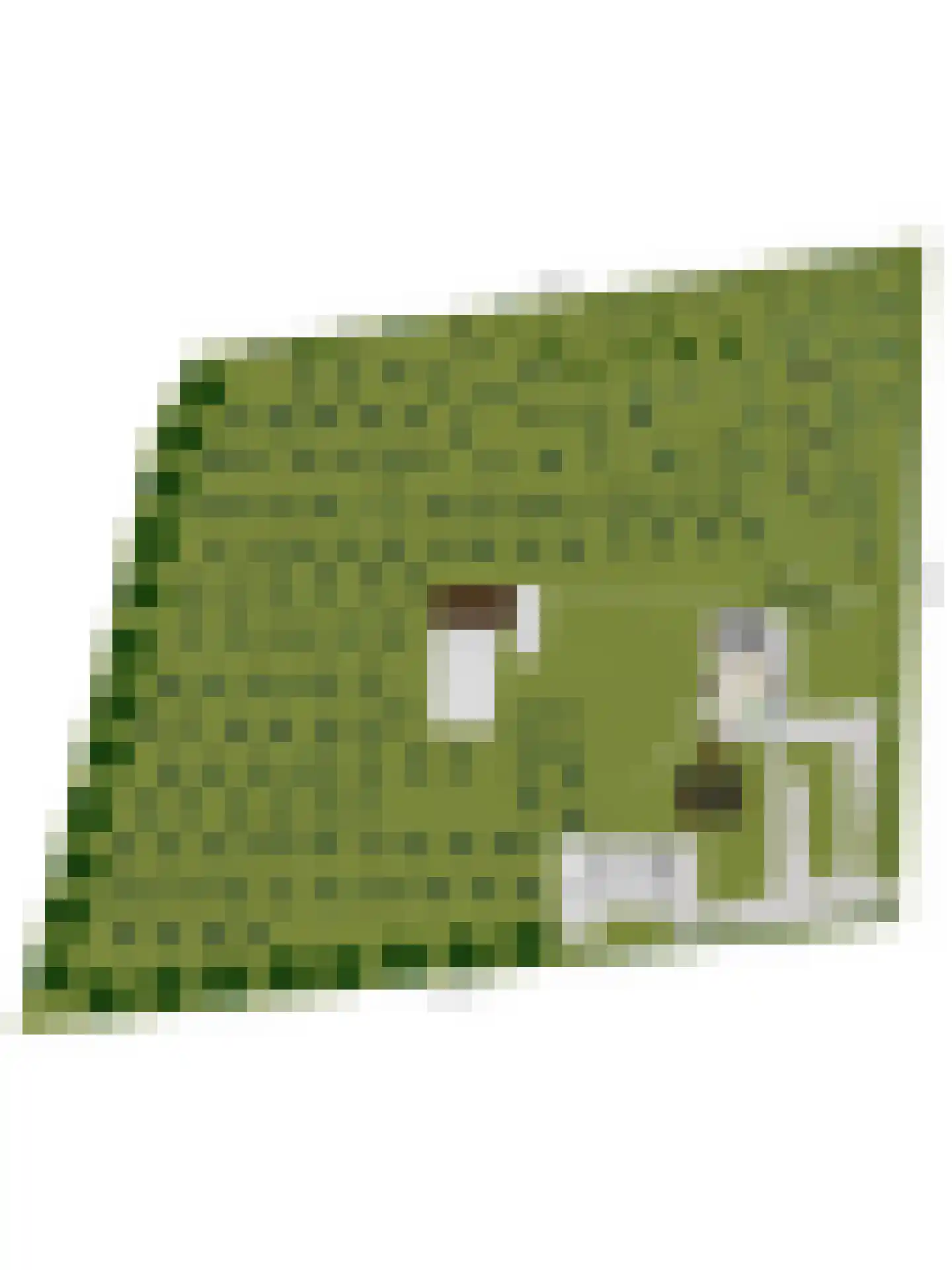 Cuykschesteeg 3 Escharen thumbnail 77