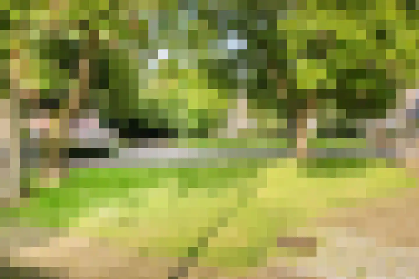 Cuyleborg 149 Maastricht thumbnail 31