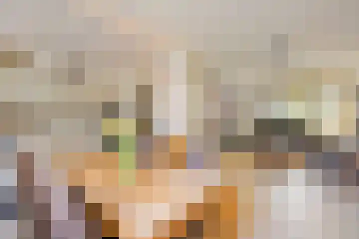 Cuyleborg 15 Maastricht thumbnail 10