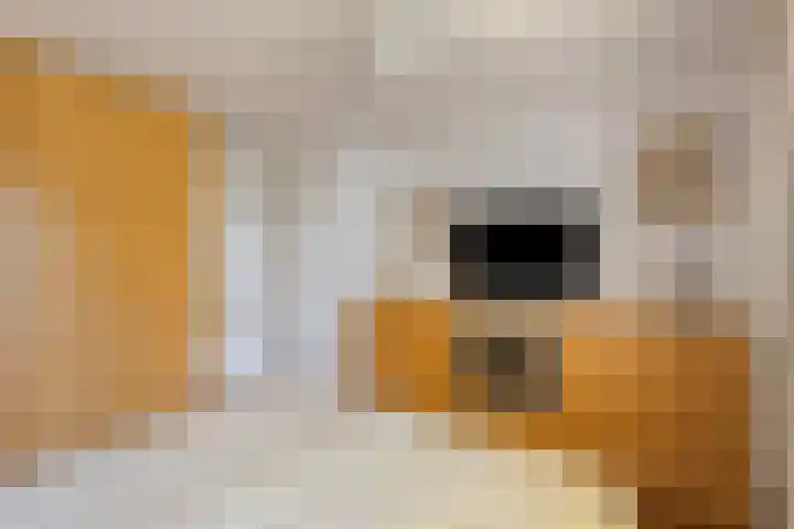 Cuyleborg 15 Maastricht thumbnail 12