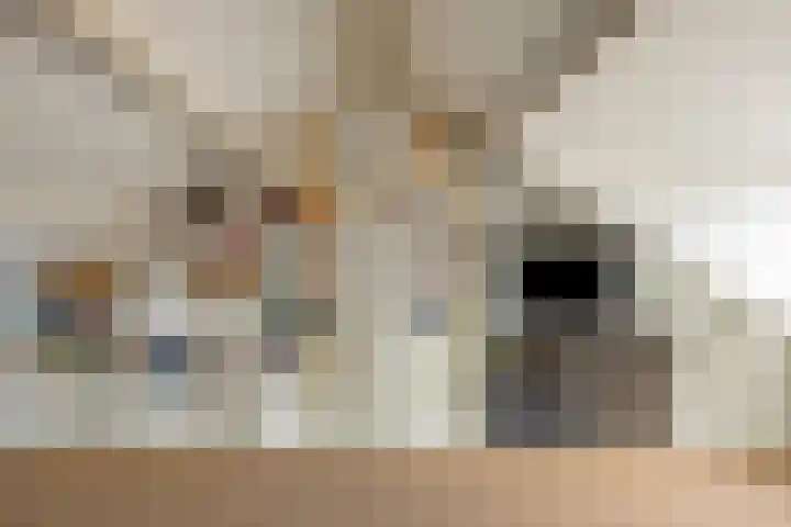 Cuyleborg 15 Maastricht thumbnail 17