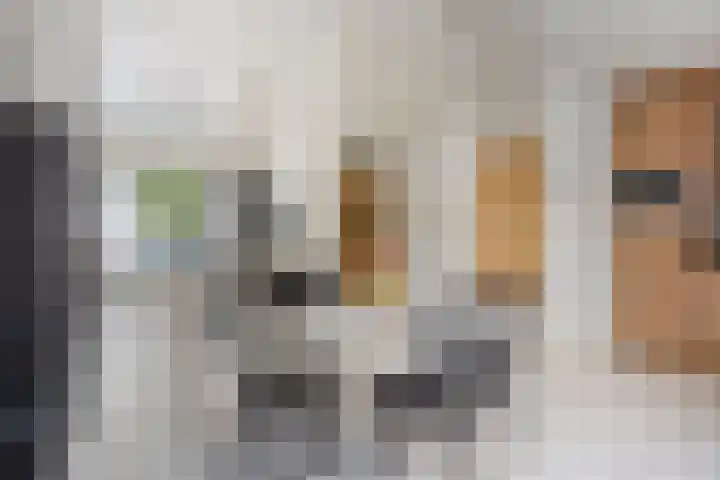 Cuyleborg 226 Maastricht thumbnail 10