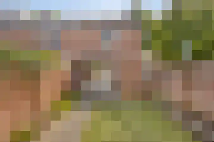 Cuyleborg 226 Maastricht thumbnail 17