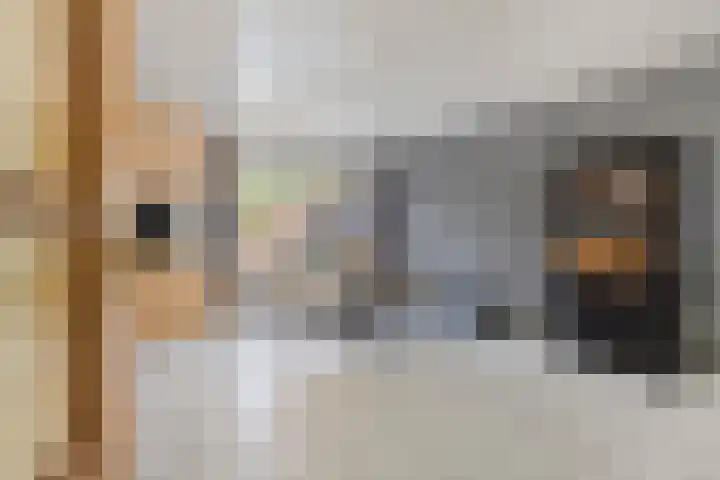 Cuyleborg 226 Maastricht thumbnail 6