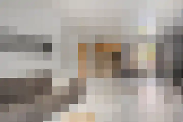 Cuyleborg 226 Maastricht thumbnail 8