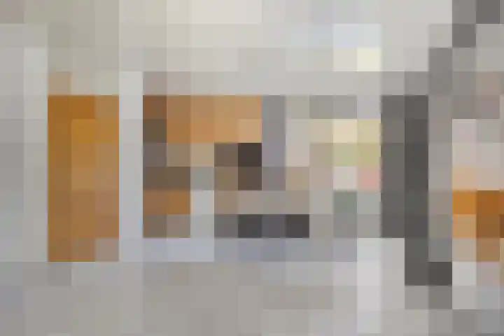 Cuyleborg 226 Maastricht thumbnail 9