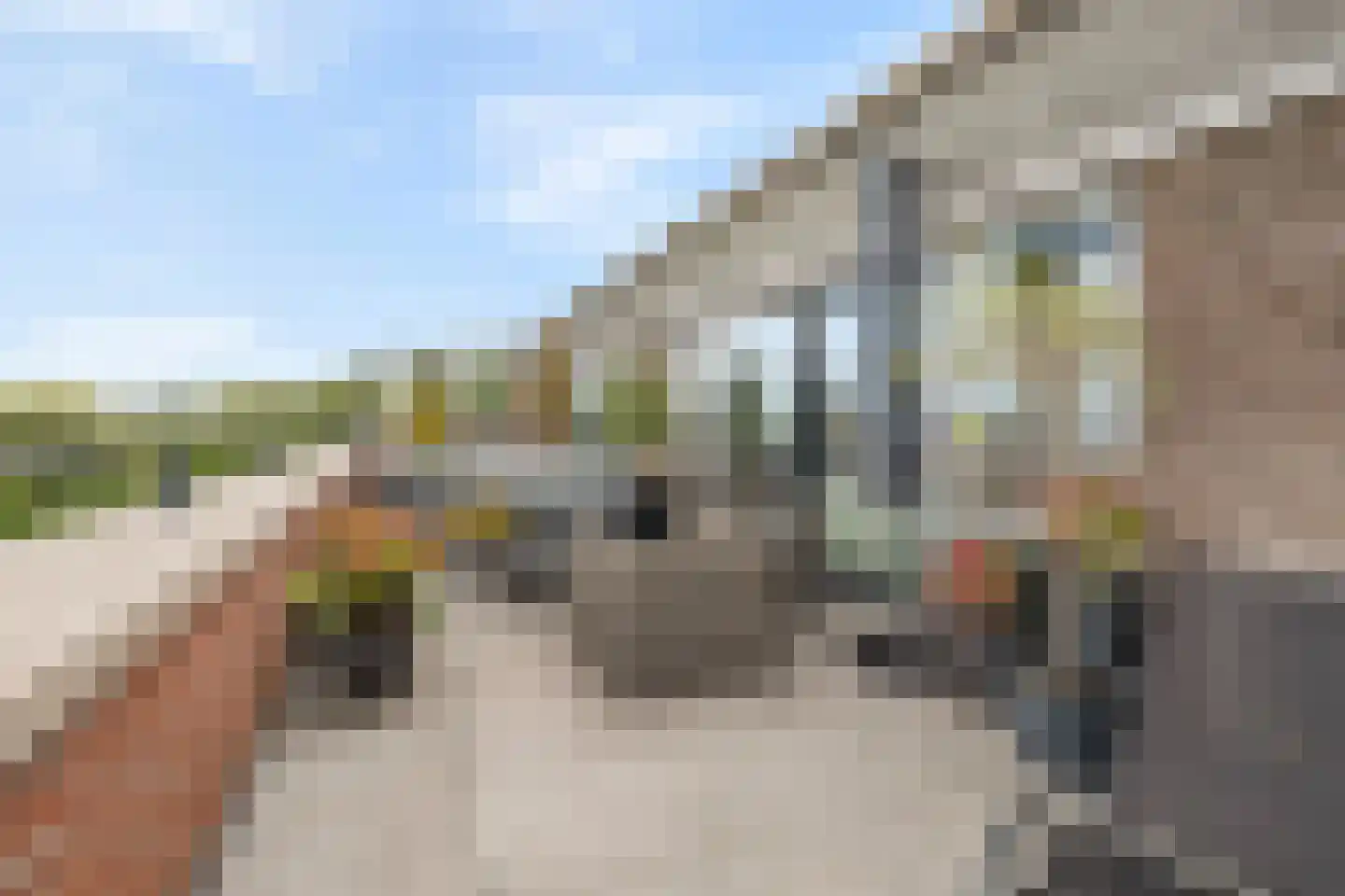 Cuypersdreef 140 Barendrecht thumbnail 45