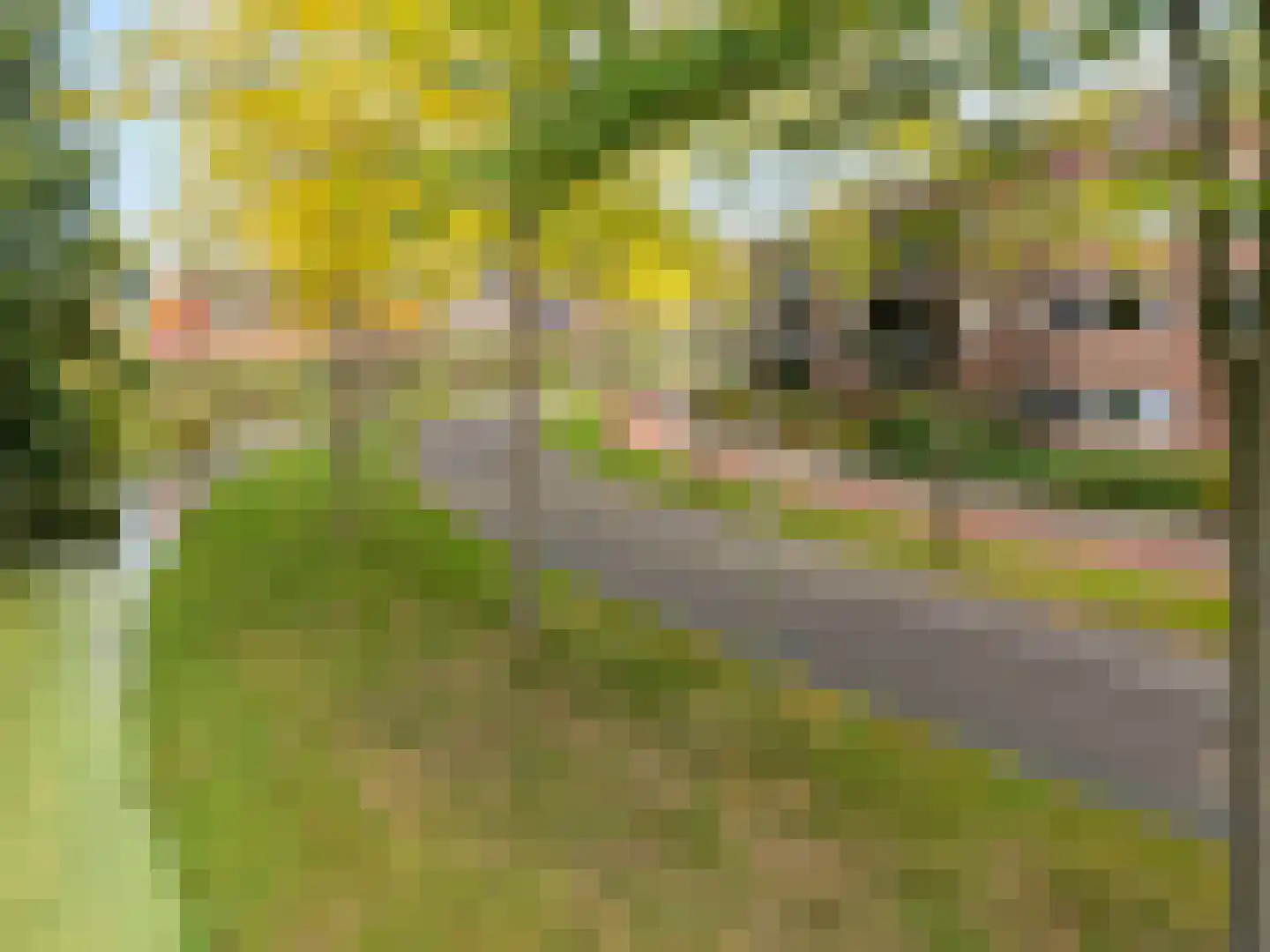 Cuypersdreef 140 Barendrecht thumbnail 48