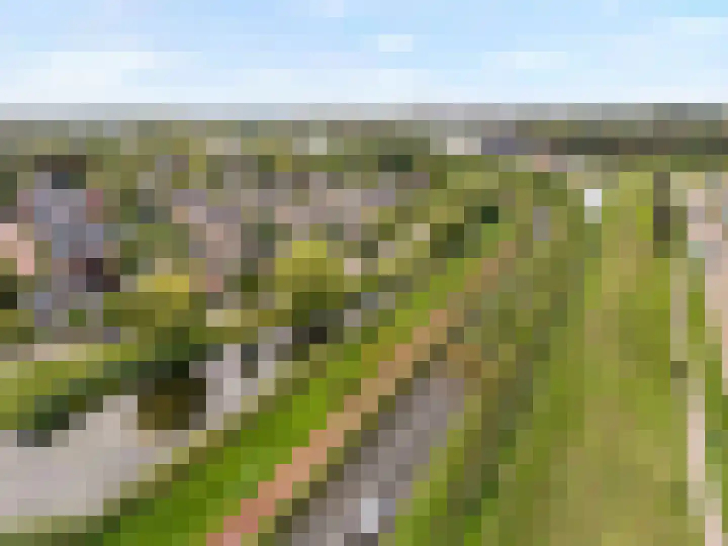 Cuypersdreef 140 Barendrecht thumbnail 49
