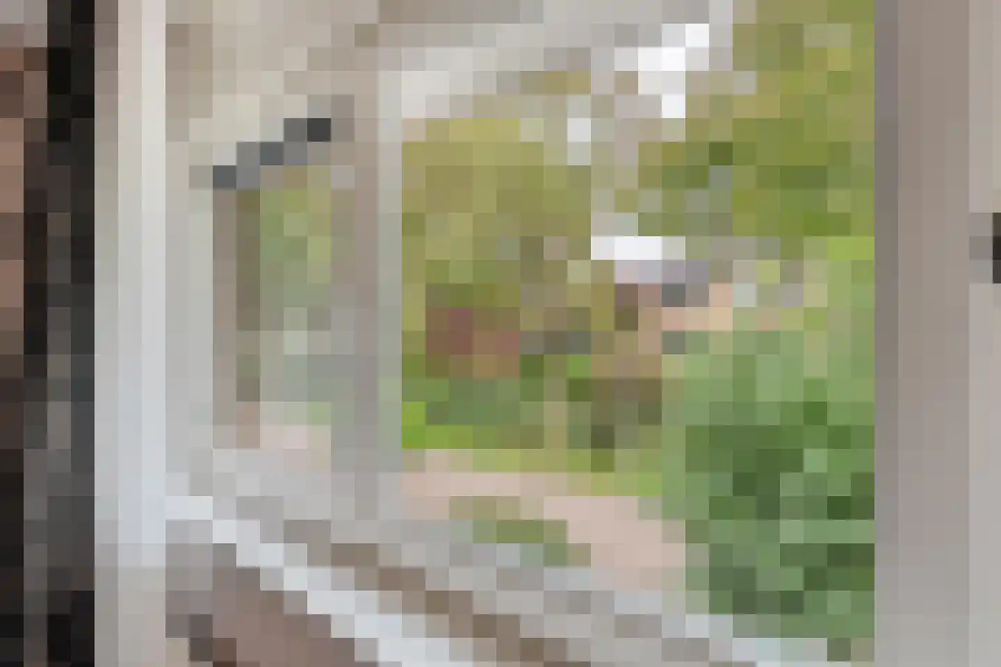 Cuypersdreef 41 Barendrecht thumbnail 31