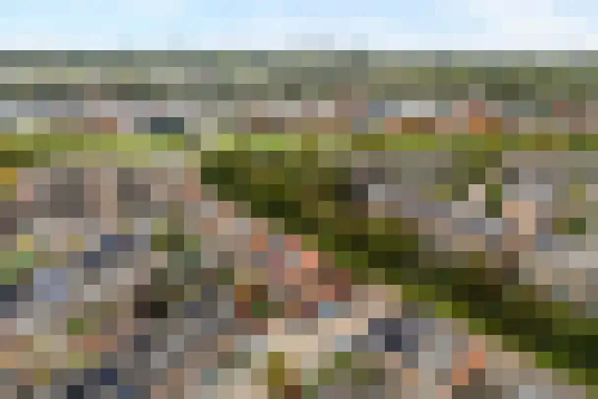 Cuypersdreef 41 Barendrecht thumbnail 46