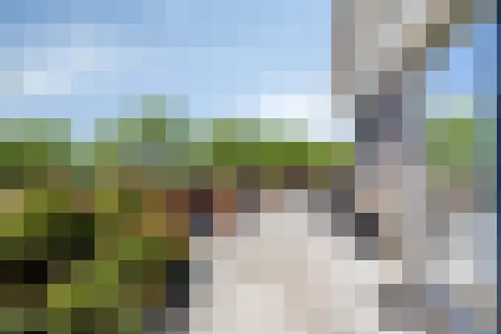 Cuypersdreef 42 Barendrecht thumbnail 24
