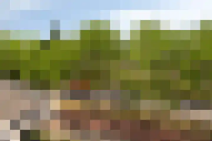 Cuypersdreef 42 Barendrecht thumbnail 29