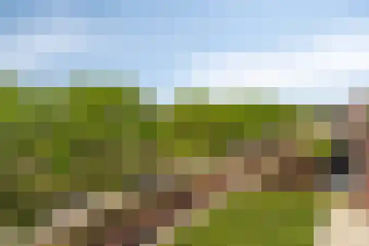 Cuypersdreef 42 Barendrecht thumbnail 30