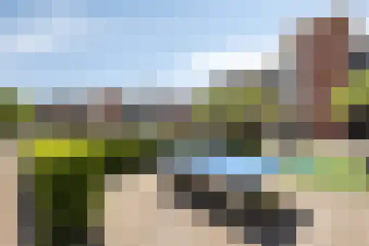 Cuypersdreef 42 Barendrecht thumbnail 36